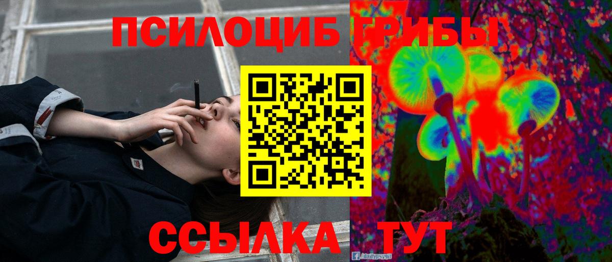 Сосновоборск  Псилоцибиновые грибы ЛСД  Вход с VPN 